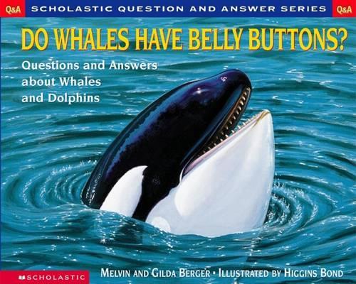Do Whales Have Belly Buttons?
