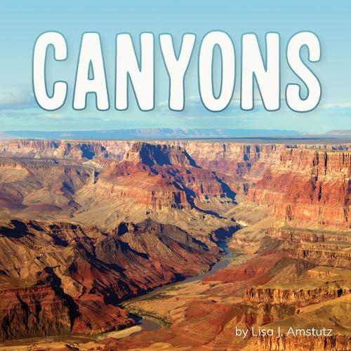 Canyons: (Earth's Landforms)