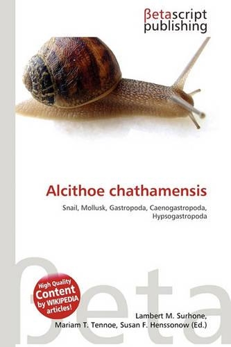 Alcithoe Chathamensis