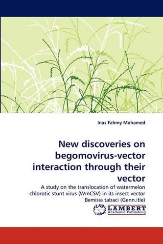 New Discoveries on Begomovirus-Vector Interaction Through Their Vector