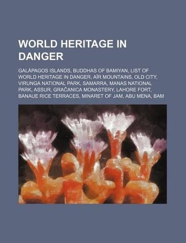 World Heritage in Danger: Galapagos Islands, Buddhas of Bamiyan, List of World Heritage in Danger, Air Mountains, Old City