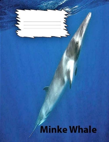 Minke Whale Wide Ruled Line Paper Composition Book: Whale fans, elementary students, Large handwriting, elderly notebooks, visual impaired
