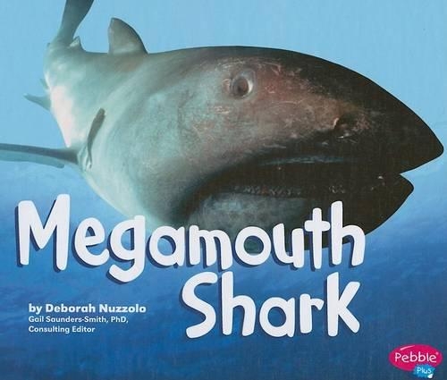 Megamouth Shark: (Sharks)