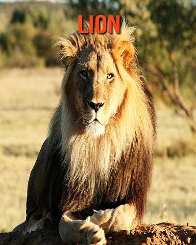 Lion: Fun Facts & Cool Pictures