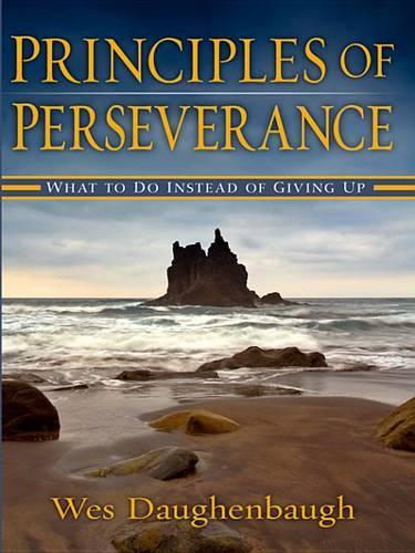 Principles of Perserverance: What to Do Instead of Giving Up