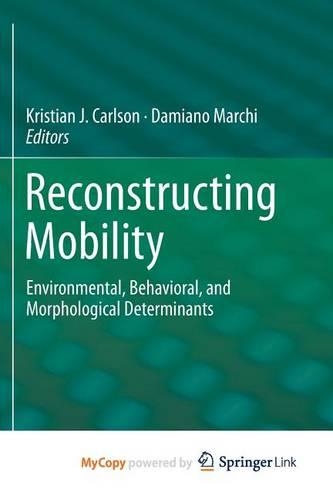 Reconstructing Mobility: Environmental, Behavioral, and Morphological Determinants