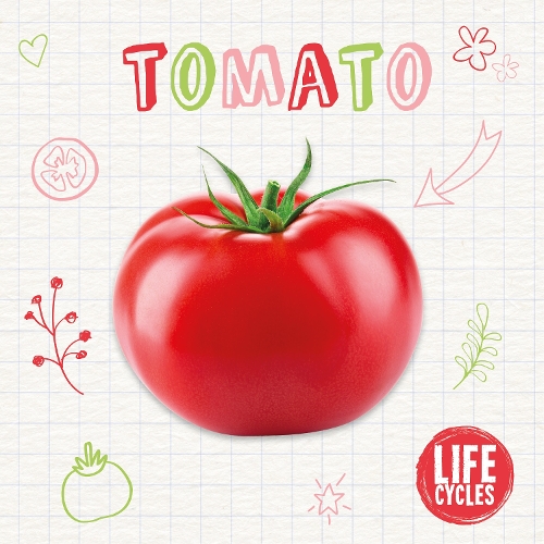Tomato: (Life Cycles)