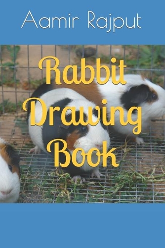 Rabbit Drawing Book