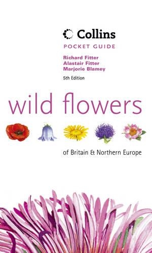 Wild Flowers of Britain and Northern Europe: (Collins Pocket Guide)