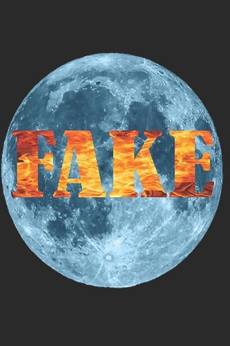 Fake: Moon Notebook, Diary, Journal size 6x9