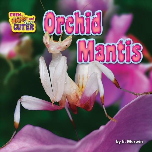 Orchid Mantis: (Even Weirder and Cuter)