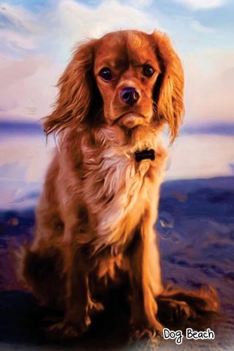 Dog Beach: 6x 9 Lined Notebook Professionally Designed (Dog on the Beach Painting), Work Book, Planner, Diary,100 Pages