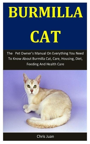 Burmilla Cat