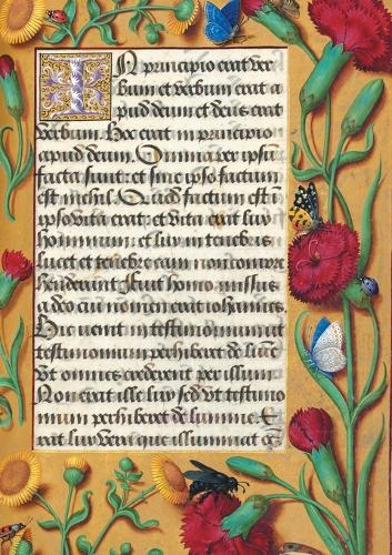Carnet Ligné Heures Anne de Bretagne, Oeillets: (Bnf Enluminures)