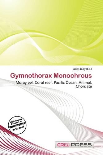 Gymnothorax Monochrous