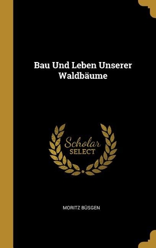 Bau Und Leben Unserer Waldbäume
