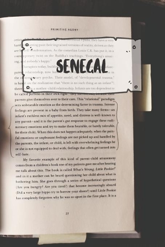 Senegal: Ruled Travel Diary Notebook or Journey Journal - Lined Trip Pocketbook for Men and Women with Lines