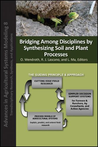 Bridging Among Disciplines by Synthesizing Soil and Plant Processes