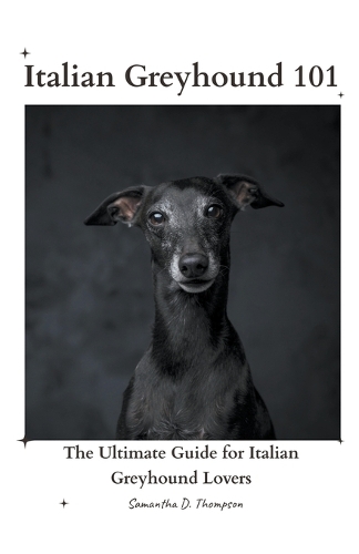 Italian Greyhound 101