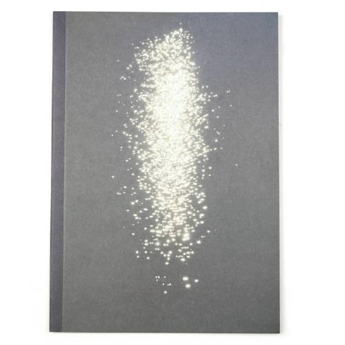 Mark Borthwick: If We are Pioneers