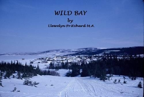 Wild Bay: All is Not as it Seems to Be!!!
