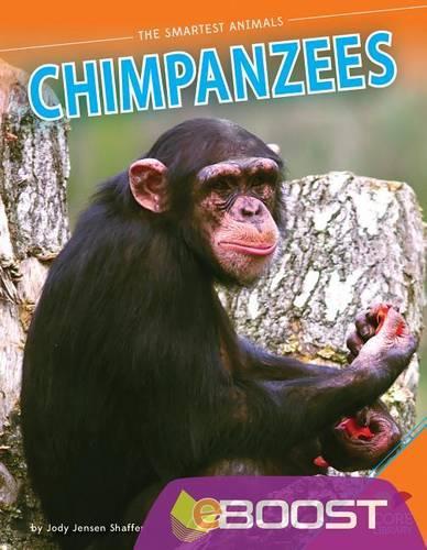 Chimpanzees: (Smartest Animals)