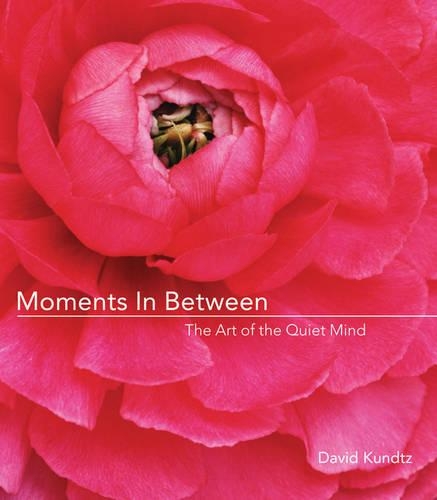 Moments in Between