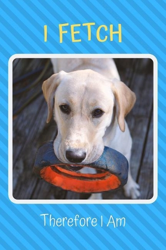 I Fetch Therefore I Am