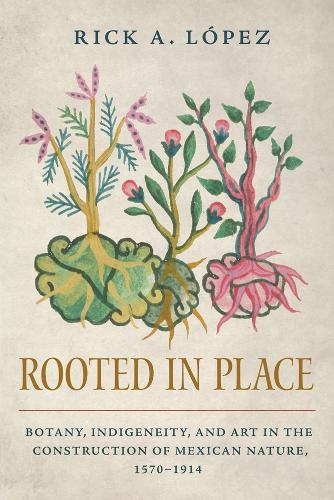 Rooted in Place: Botany, Indigeneity, and Art in the Construction of Mexican Nature, 1570–1914(Latin American Landscapes)