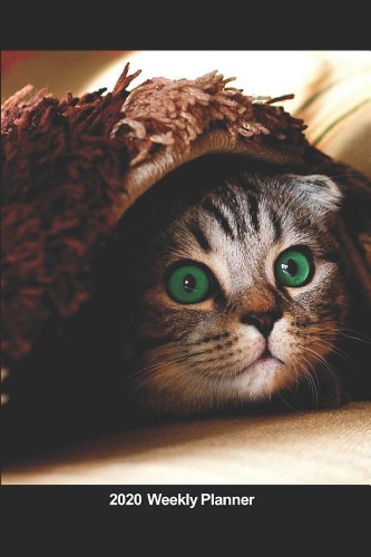 Plan On It 2020 Weekly Calendar Planner - I Love Cats - Peek A Boo Kitty: January 2020 thru March 2021 15 Month Dated Agenda Notebook