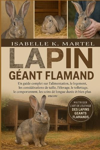 Lapin Géant Flamand