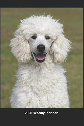 Plan On It 2020 Weekly Calendar Planner - I Love Poodles - Let's Play!: January 2020 thru March 2021 15 Month Dated Agenda Notebook
