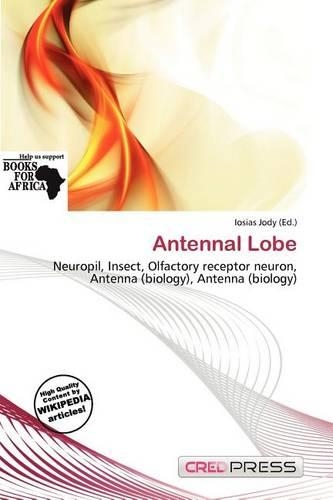 Antennal Lobe