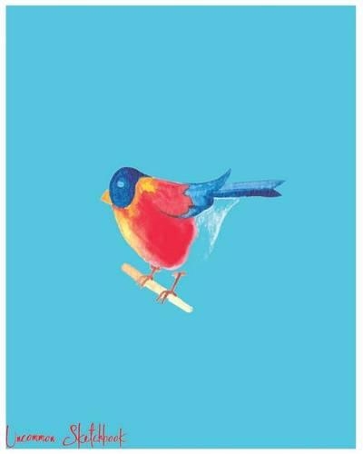 Uncommon Sketchbook: wonderful gift, Large 8 X 10 Blank, white, Unlined, Freely to write, sketch, draw and paint on for all. Enjoy yourself by writing with 100 pages ( S