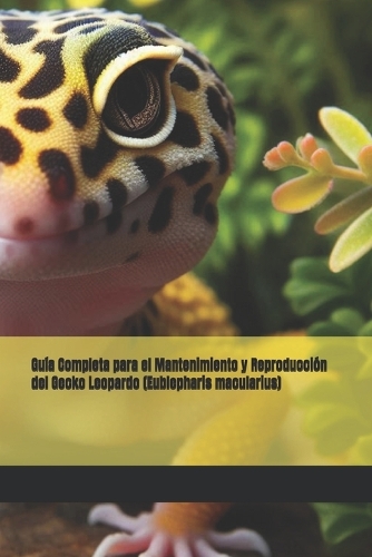 Guía Completa para el Mantenimiento y Reproducción del Gecko Leopardo (Eublepharis macularius)