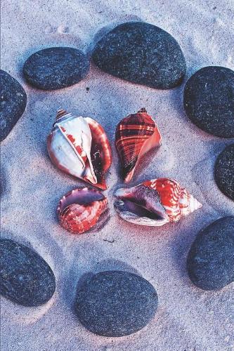 Aligning Vibration: Lined Notebook Journal