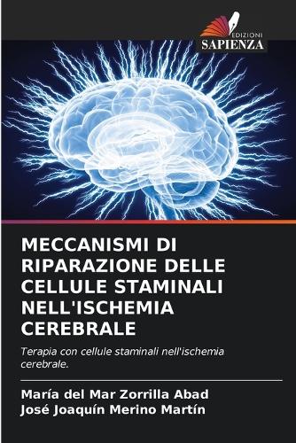 Meccanismi Di Riparazione Delle Cellule Staminali Nell'ischemia Cerebrale