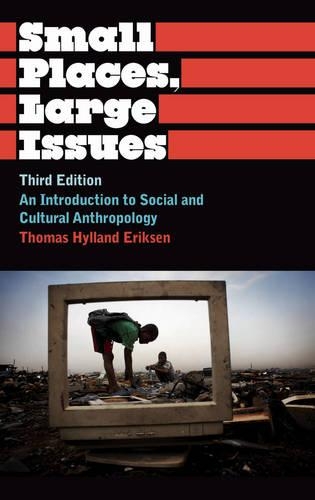 Small Places, Large Issues: An Introduction to Social and Cultural Anthropology(Anthropology, Culture and Society)