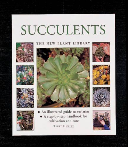 Succulents