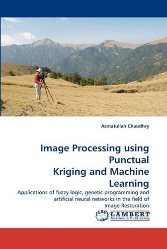 Image Processing Using Punctual Kriging and Machine Learning