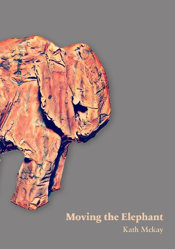 Moving the Elephant
