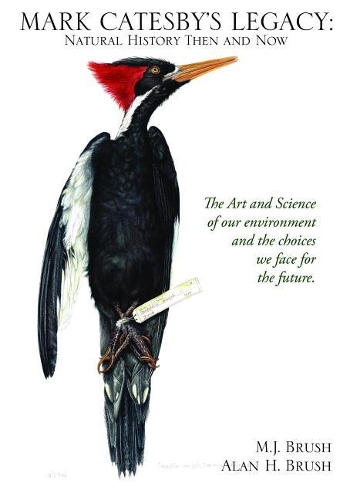 Mark Catesby's Legacy: Natural History Then and Now