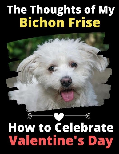 The Thoughts of My Bichon Frise