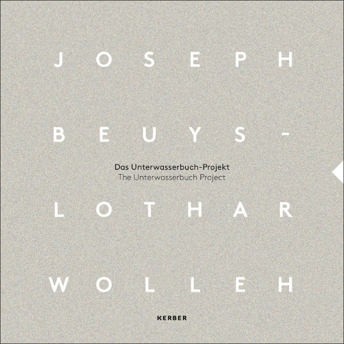 Joseph Beuys and Lothar Wolleh