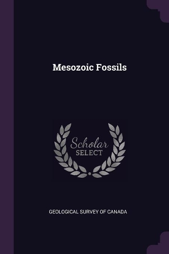 Mesozoic Fossils