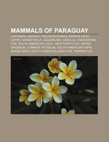 Mammals of Paraguay: Capybara, Margay, Pseudoryzomys, Pampas Deer, Coypu, Maned Wolf, Jaguarundi, Oncilla, Crab-Eating Fox