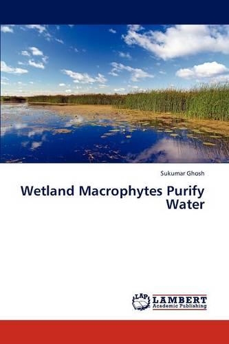 Wetland Macrophytes Purify Water