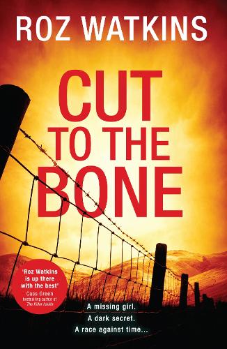 Cut to the Bone: (Book 3 A DI Meg Dalton thriller)