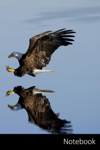 Notebook: Medusas, Azul, Criatura Cuaderno / Diario / Libro de escritura / Notas - 6 x 9 pulgadas (15.24 x 22.86 cm), 150 páginas, superficie brillante.