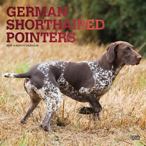 German Shorthaired Pointers 2019 Square Foil